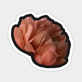 Rose flower Magnet