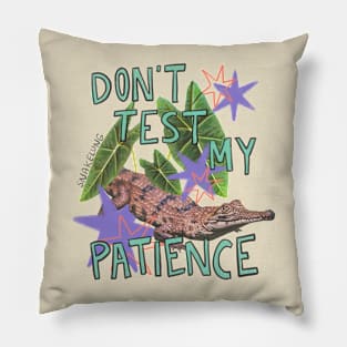 Don’t Test Me Pillow