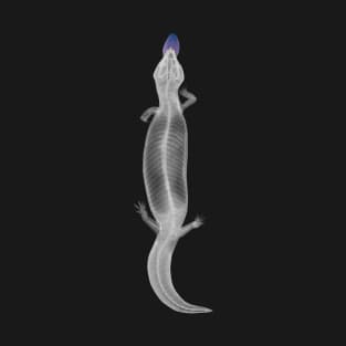 xray Blue tongue skink T-Shirt