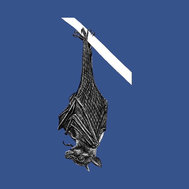Flying fox bat by lorendowding