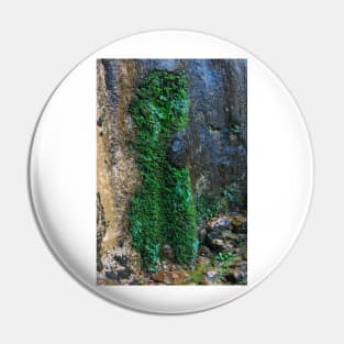 Weeping Rock Topiary - Zion - Utah Pin