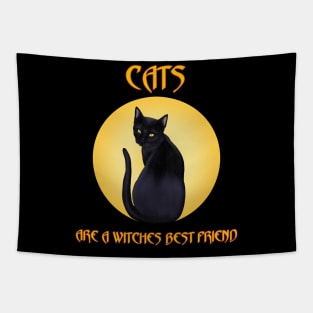 Cats are a witches best friend Tapestry