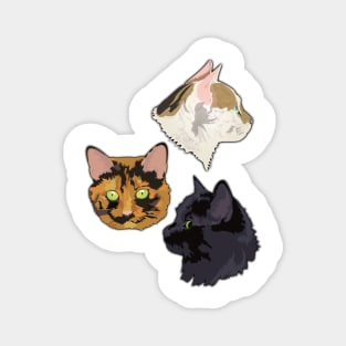 Crazy for cats Magnet