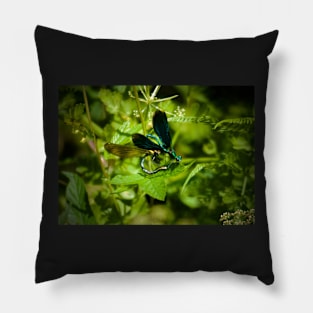 THE LOVE BUGS Pillow