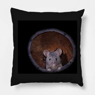 sad mouse in a coconut shell house Pillow