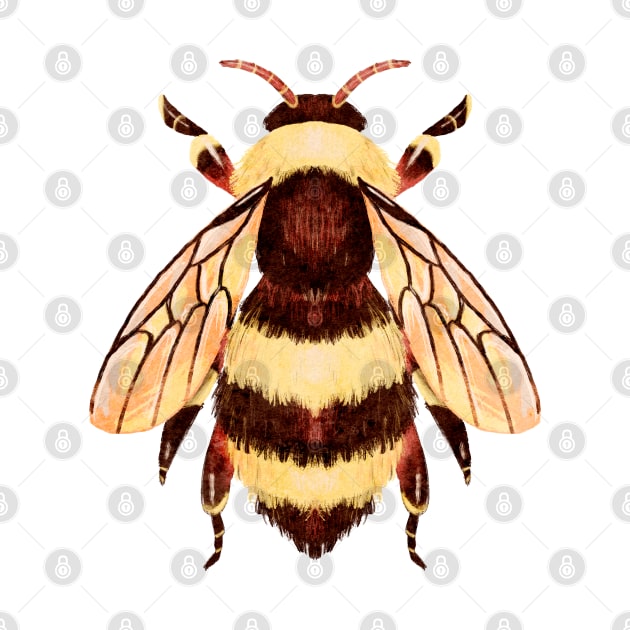 Cute and Fuzzy Honeybee Bug by narwhalwall