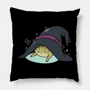 Witchy Frog Pillow