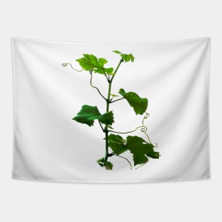 Grape vine Tapestry