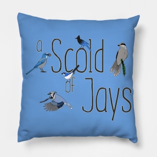 Collective Nouns - Jays Pillow