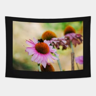 Echinacea Purpurea with Bee Tapestry