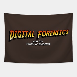 Digital Forensics and the Truth of Evidence Tapestry