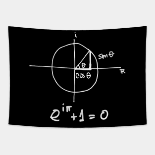 Euler's Equation Tapestry