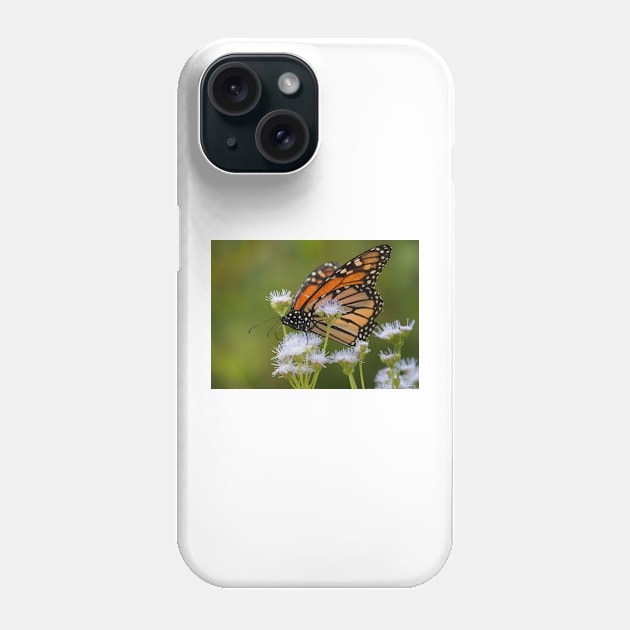 Monarch Migration Phone Case by Jacquelie