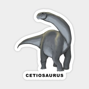 Cetiosaurus Magnet