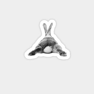 Rabbit 20 Magnet