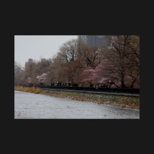 Central Park, NY in Spring T-Shirt