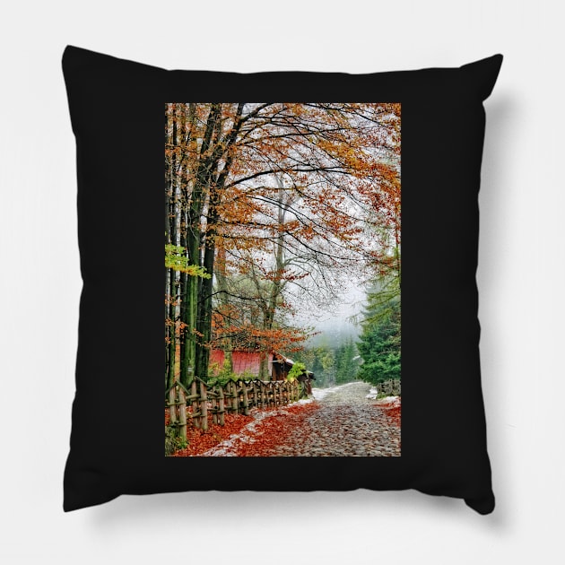 Street of Seasons. Pillow by incredi