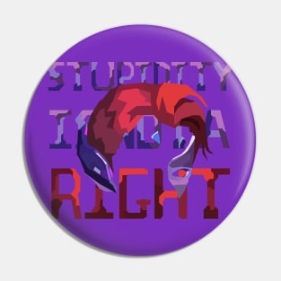 Stupidity Is Not A Right - Moira Overwatch Pin