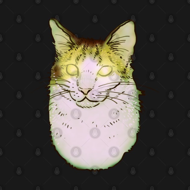 spooky scary glowing eyes hover cat cryptid meme by mudwizard