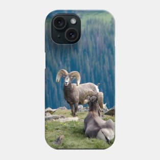 Long horn sheep on a mountain ledge Phone Case