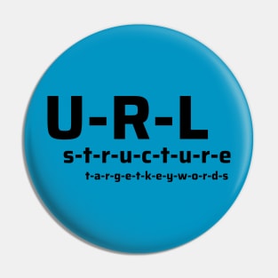 URL Structure Pin