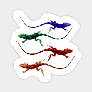 Lizard Rainbow Magnet