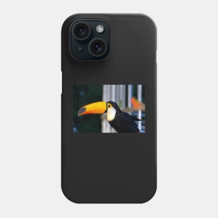 yellow hornbill Phone Case