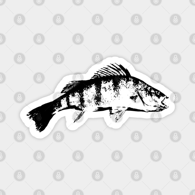 Perch black design Magnet by BassFishin