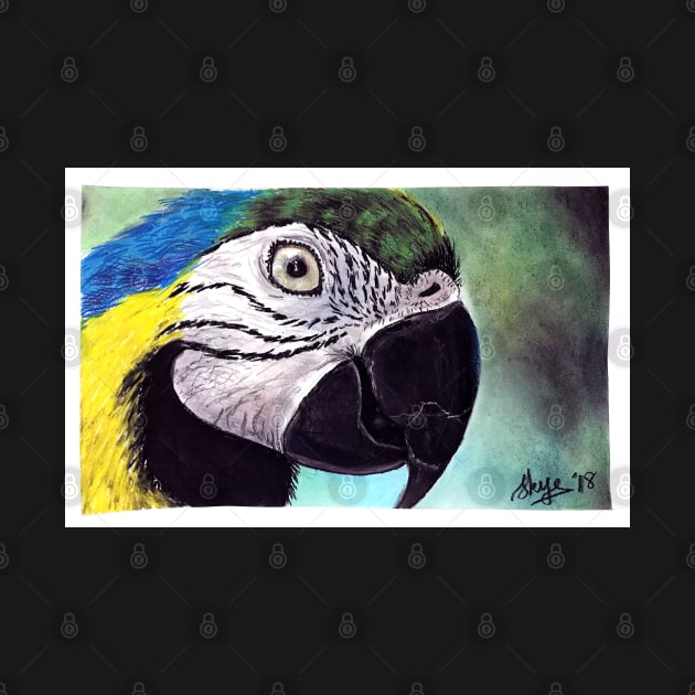 Macaw by SkyeElizabeth