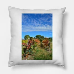 Autumnal Grape Vines Pillow