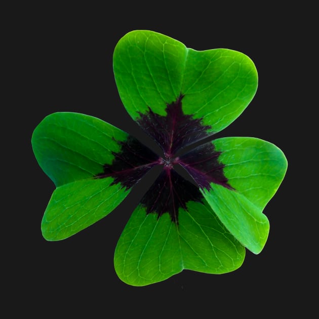 Four Leaf Clover Shamrock St Patrick's Day by twizzler3b