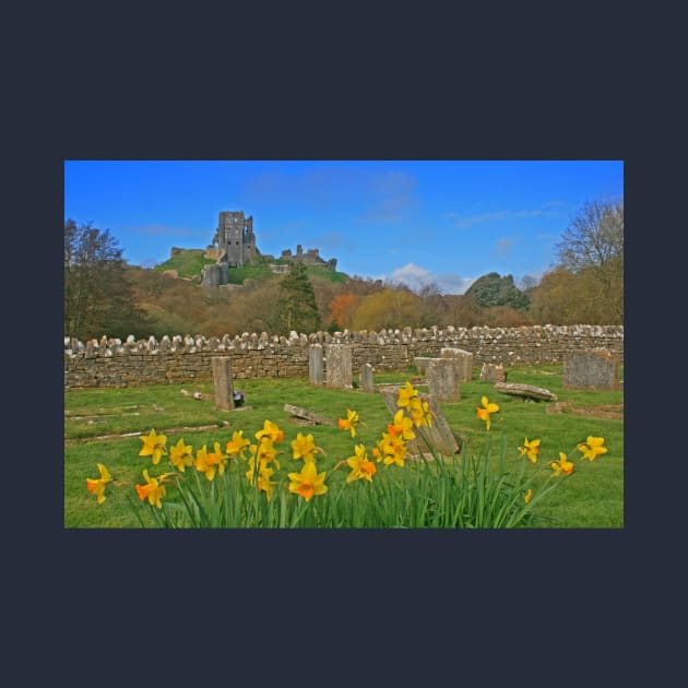 Eternal Springtime, Corfe Castle, March 2024 by RedHillDigital