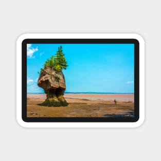 Hopewell Rocks, New Brunswick Canada Magnet