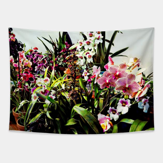 Orchids in the Garden Center Tapestry by SusanSavad