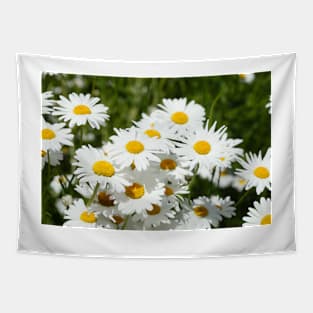 daisies Tapestry