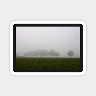 Foggy Dutch Countryside Magnet