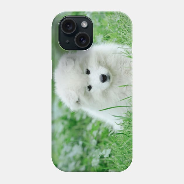 Samoyed puppy portrait Phone Case by PetsArt