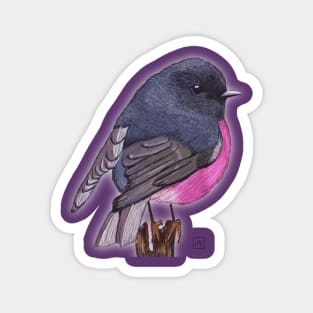 Robin bird pink Magnet