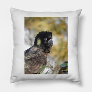 Yellow-tailed Black Cockatoo Pillow