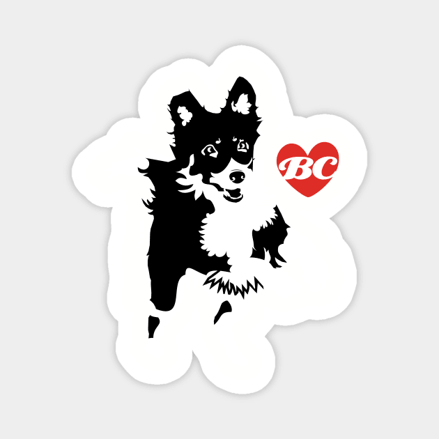 FOR BORDERCOLLIE LOVERS Magnet by islandb