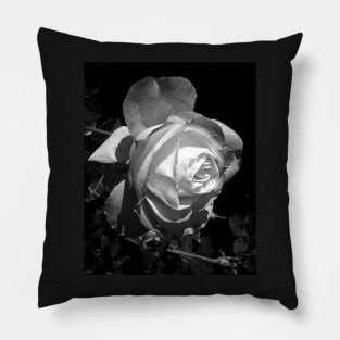 Photo product: "Shadows Are Evidence of Light" Pillow