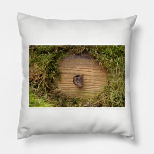 mouse in a hole Pillow