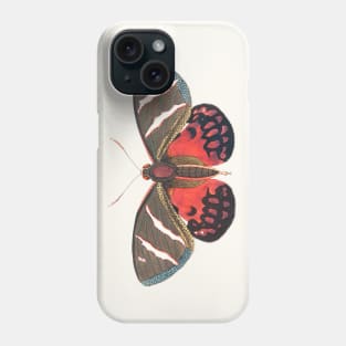 Papilio Icarus Phone Case