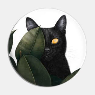 Black cat in ficus Pin
