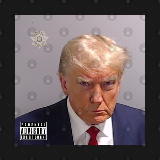 Trump Mugshot Album Cover Trump TShirt TeePublic