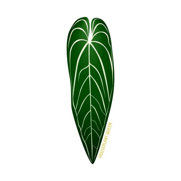 Anthurium warocqueanum | Houseplant Queen by csikarskie