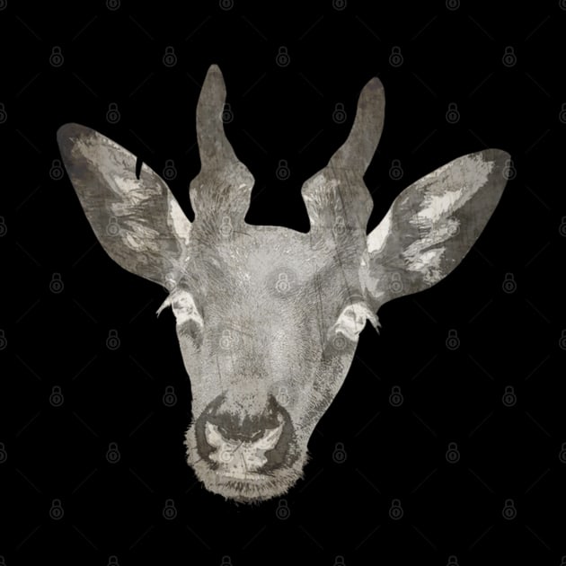 head deer abstract by irvtolles