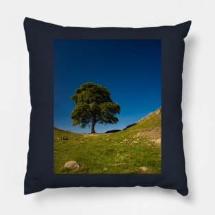 The Sycamore Gap Tree, Hadrian's Wall Pillow