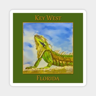 Key West Florida Iguana - WelshDesigns Magnet