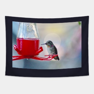 Hummingbird Halo Tapestry